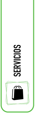 Servicios